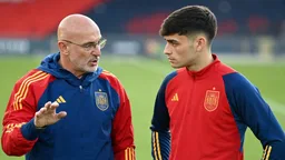 De la Fuente explica por qué Pedri no rinde en la Selección como en el Barça